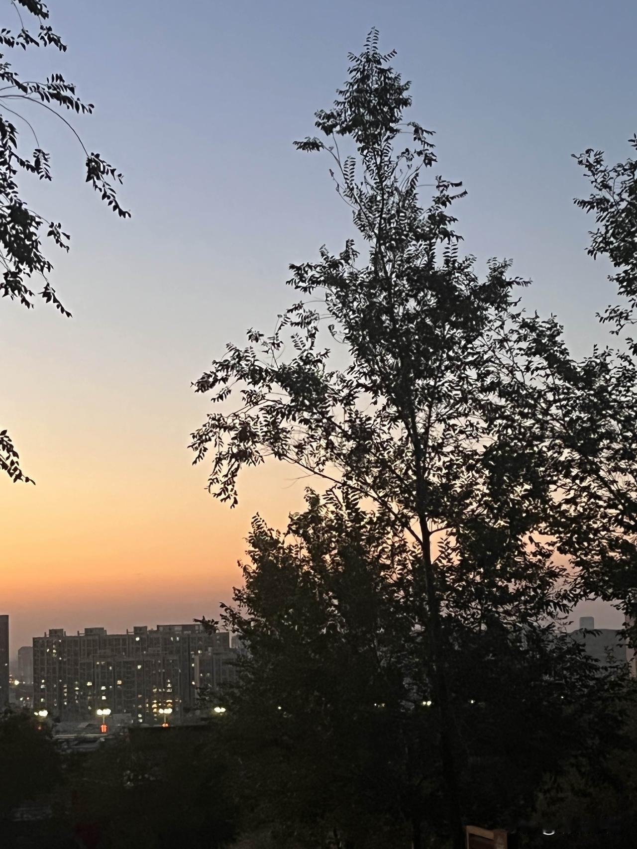 灯光点点
晚风习习
喧嚣散去嘈杂停止
天边的一抹晚霞
渐渐收起耀眼的光芒

星光