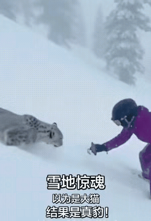 这可真是太危险了，没人相助，后果不堪设想！