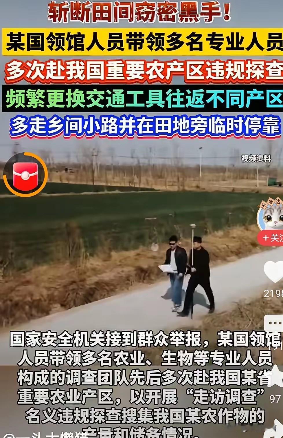 敢打我们粮食的主意，这是要动我们的根！
 
这么明目张胆？通知下去，发现这种在田