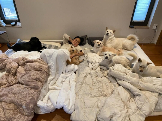 【李孝利晒与爱犬日常，遭网友批“家里太乱”：这也要管？】海外新鲜事热点现场 歌手