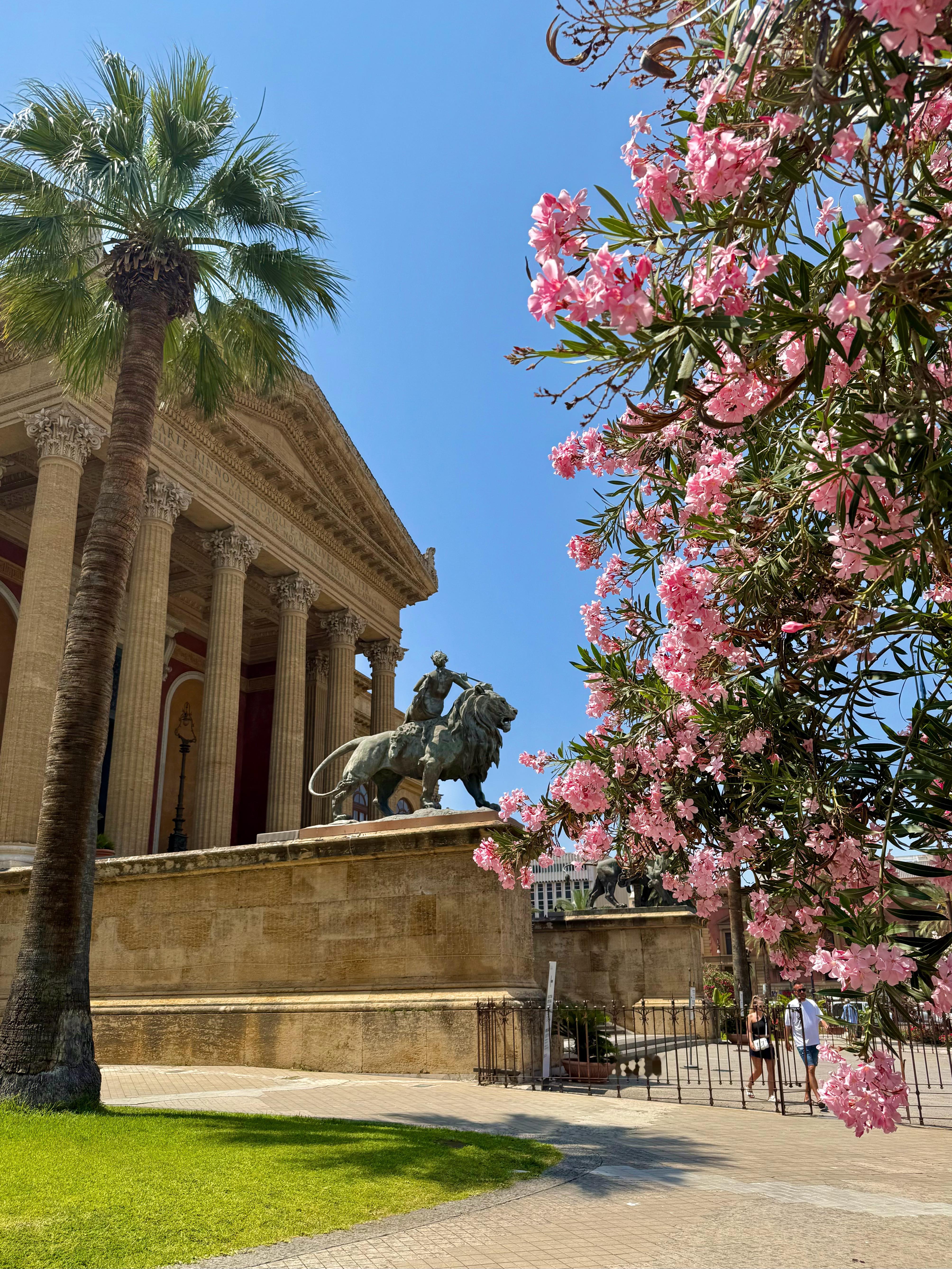 我的人生又多了一个爱的地方一西西里岛🏝️  ​​​  ​​​