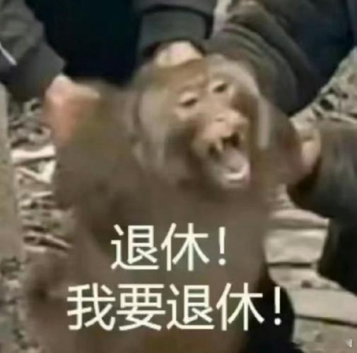 #今天追了什么剧# ​​​