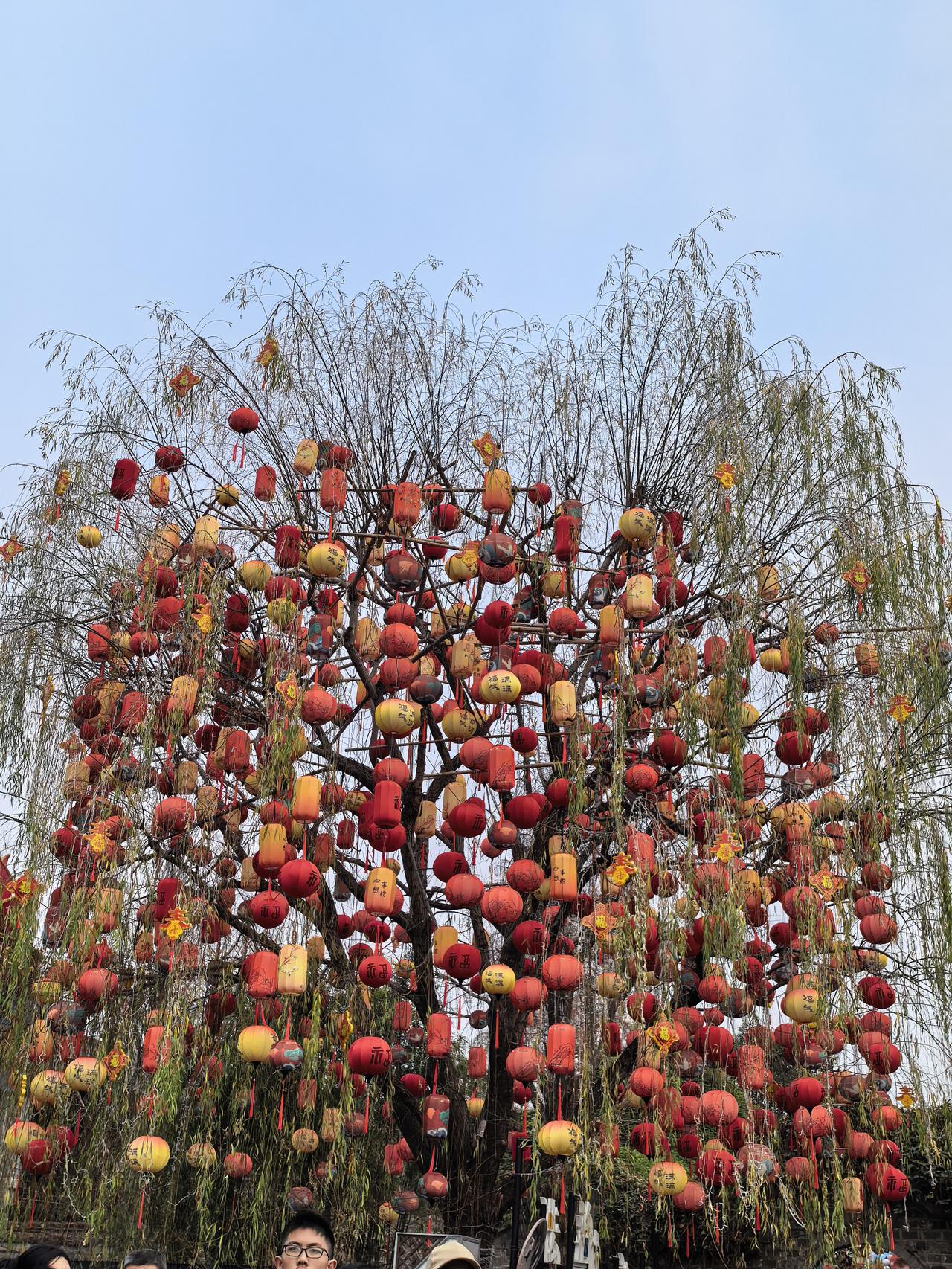 在热闹的老门东，自有一片僻静处，朱雀桥边野草花，乌衣巷口夕阳斜。旧时王谢堂前燕，