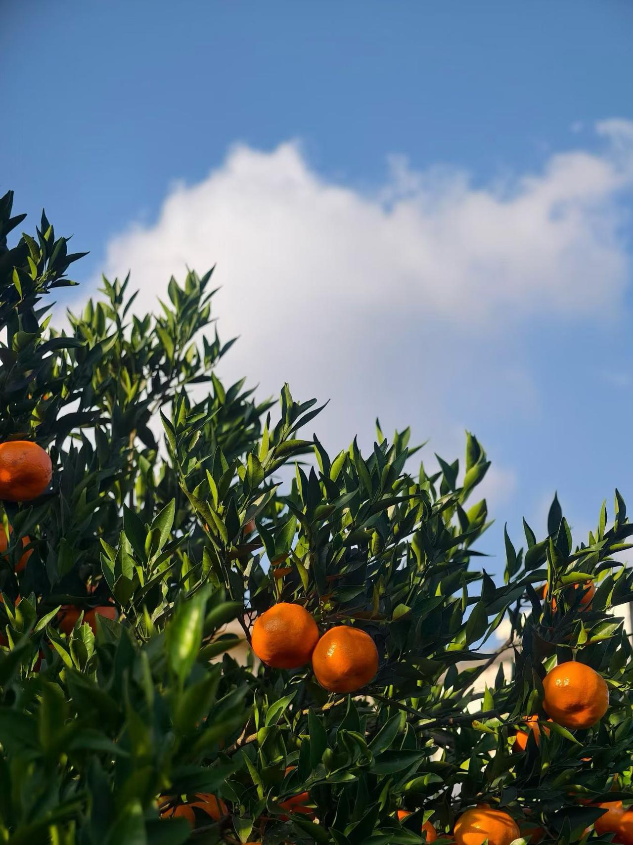 最好医生就是你

转瞬到人生暮年
身体大不如从前
世上最好的医生
其实就是你自己