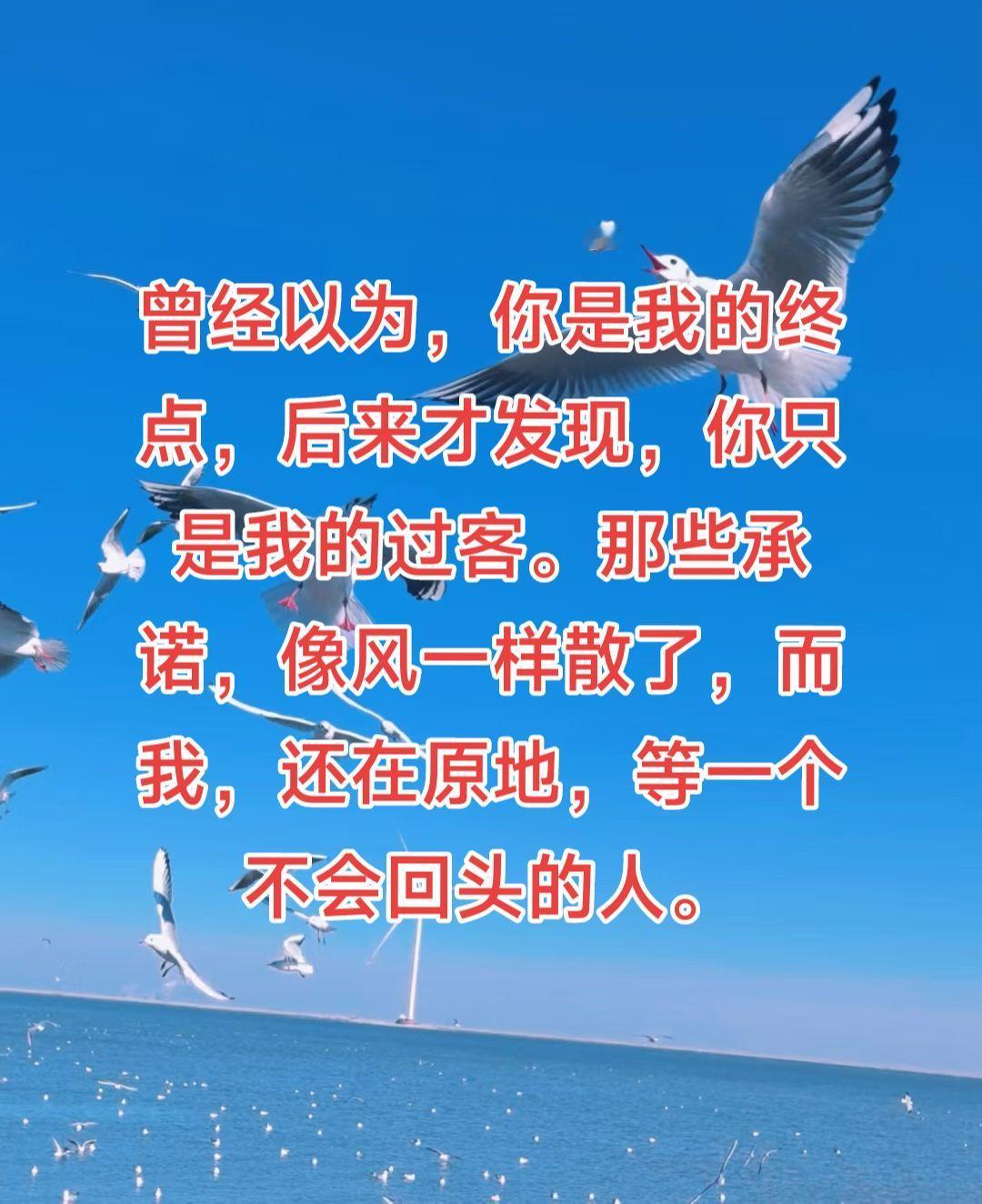 曾经以为，你是我的终点，后来才发现，你只是我的过客。那些承诺，像风一样散了，而我