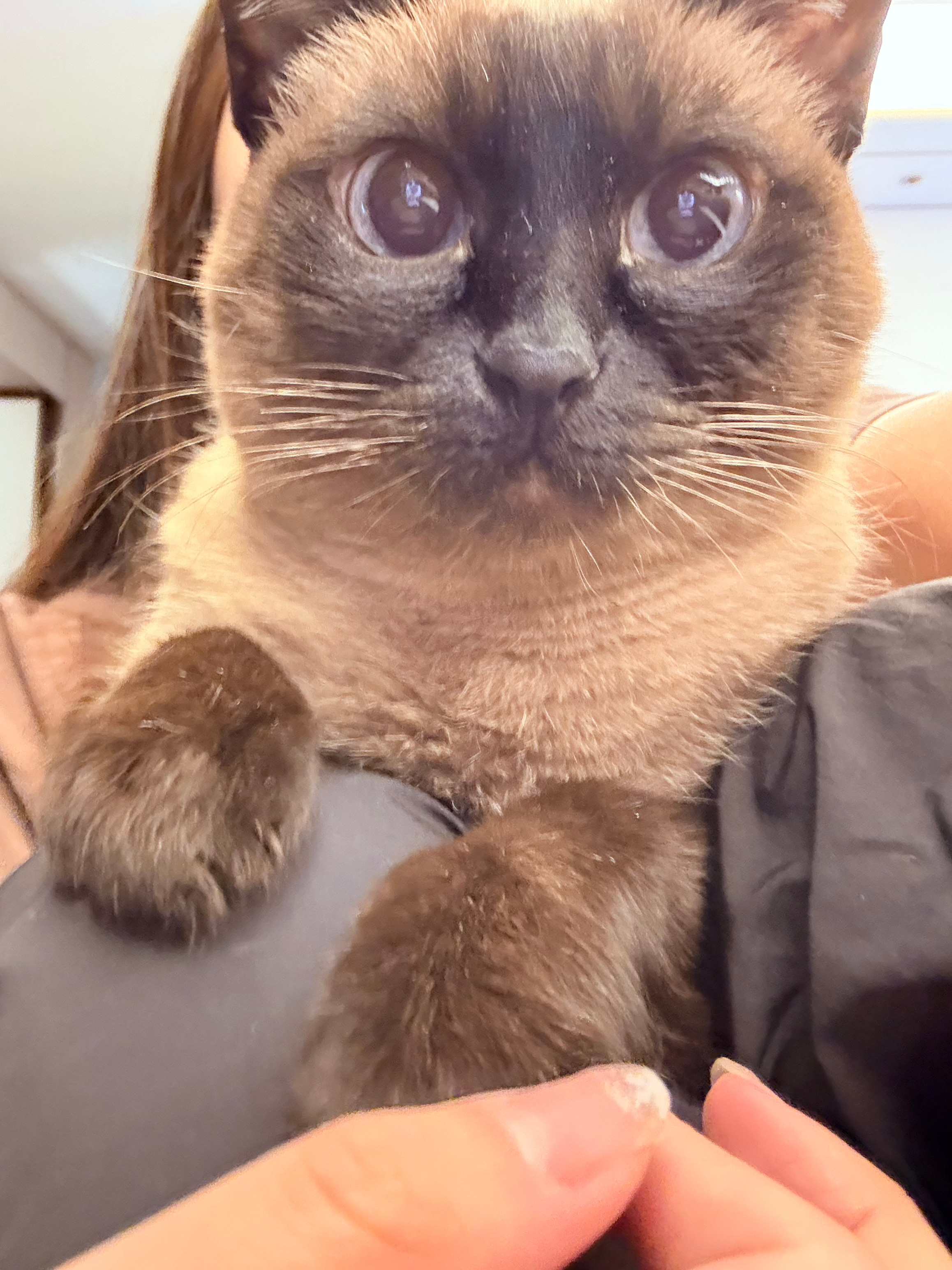 美女你的手好小啊 你怎么香香的 