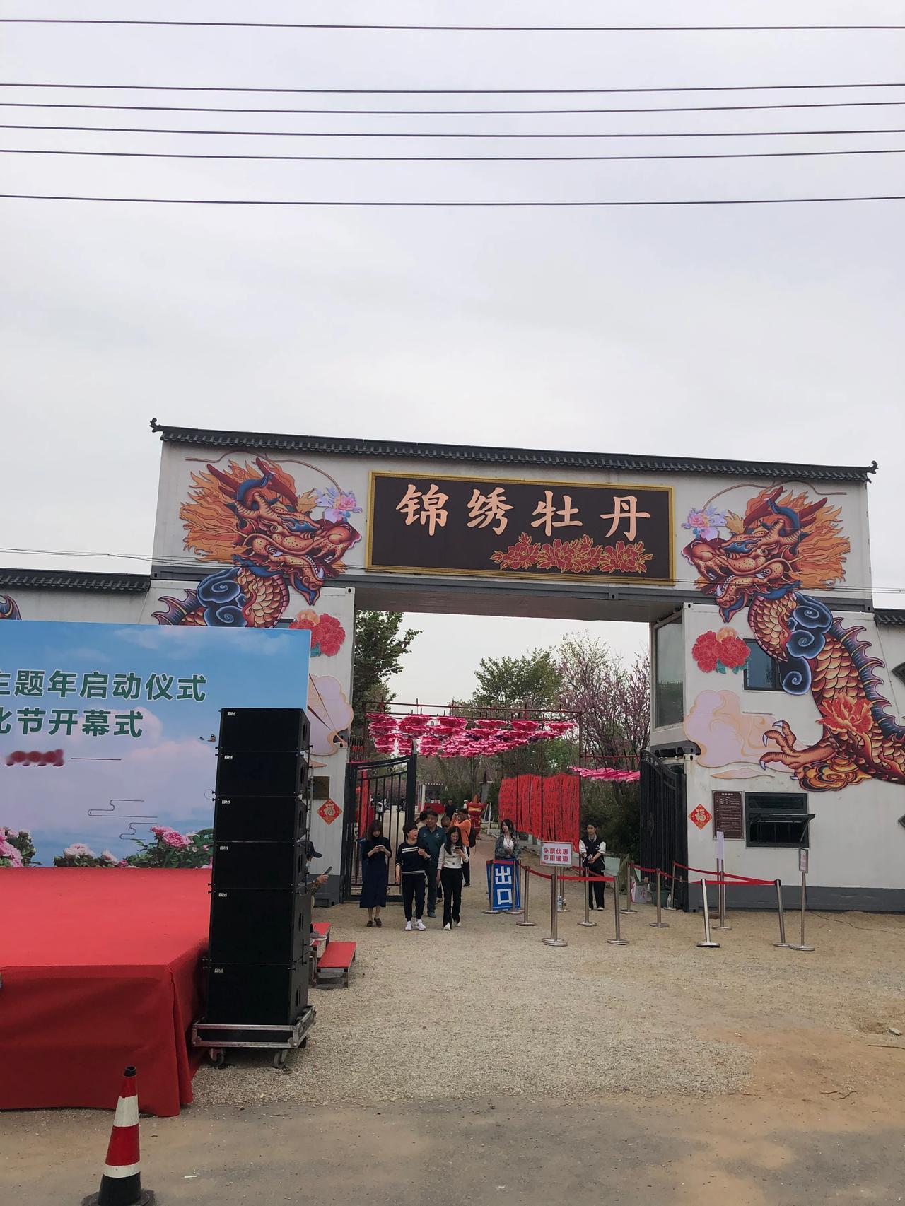 锦绣牡丹
去年花季
今年正在孕育中