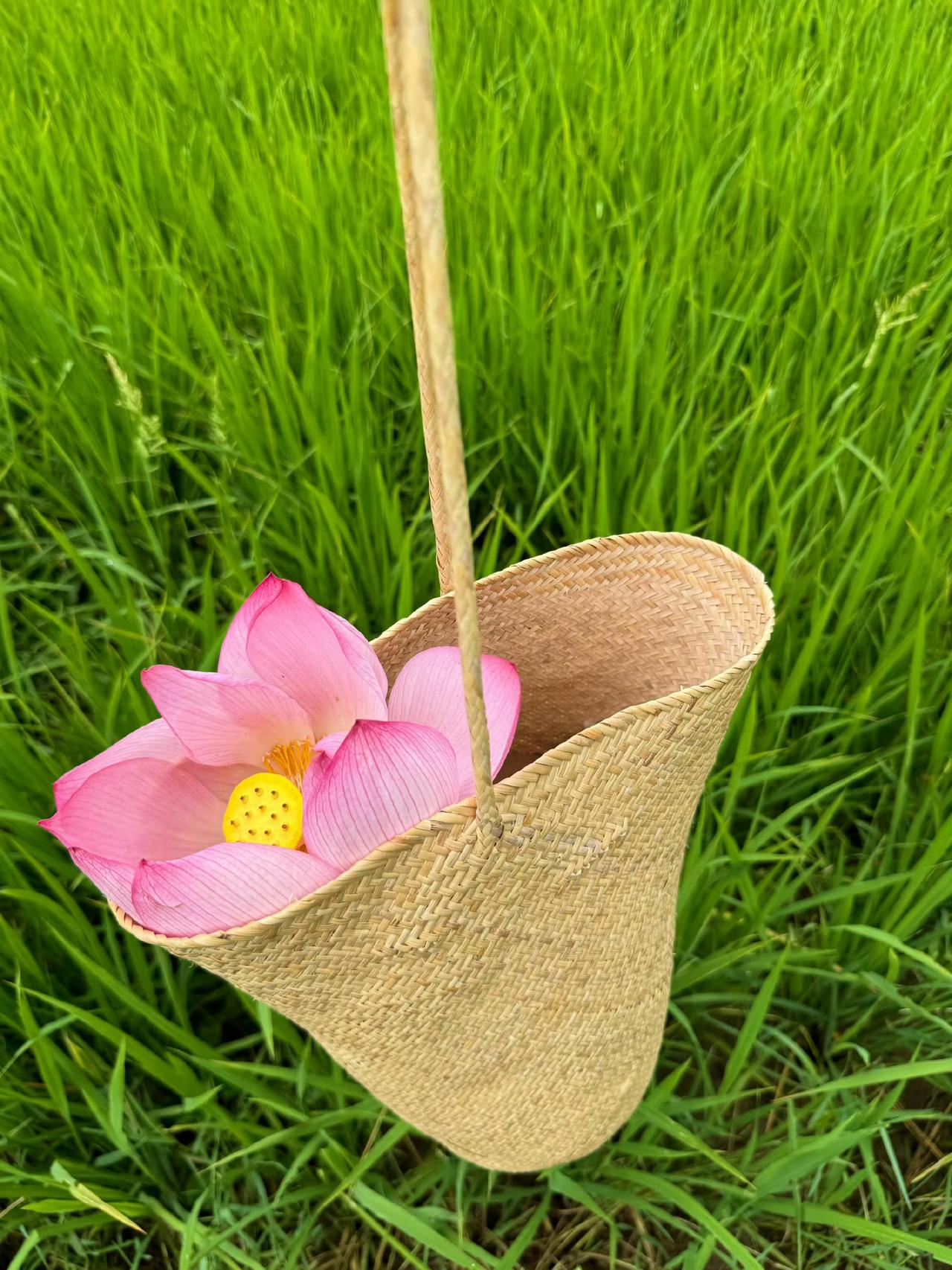 夏天有一万种浪漫
