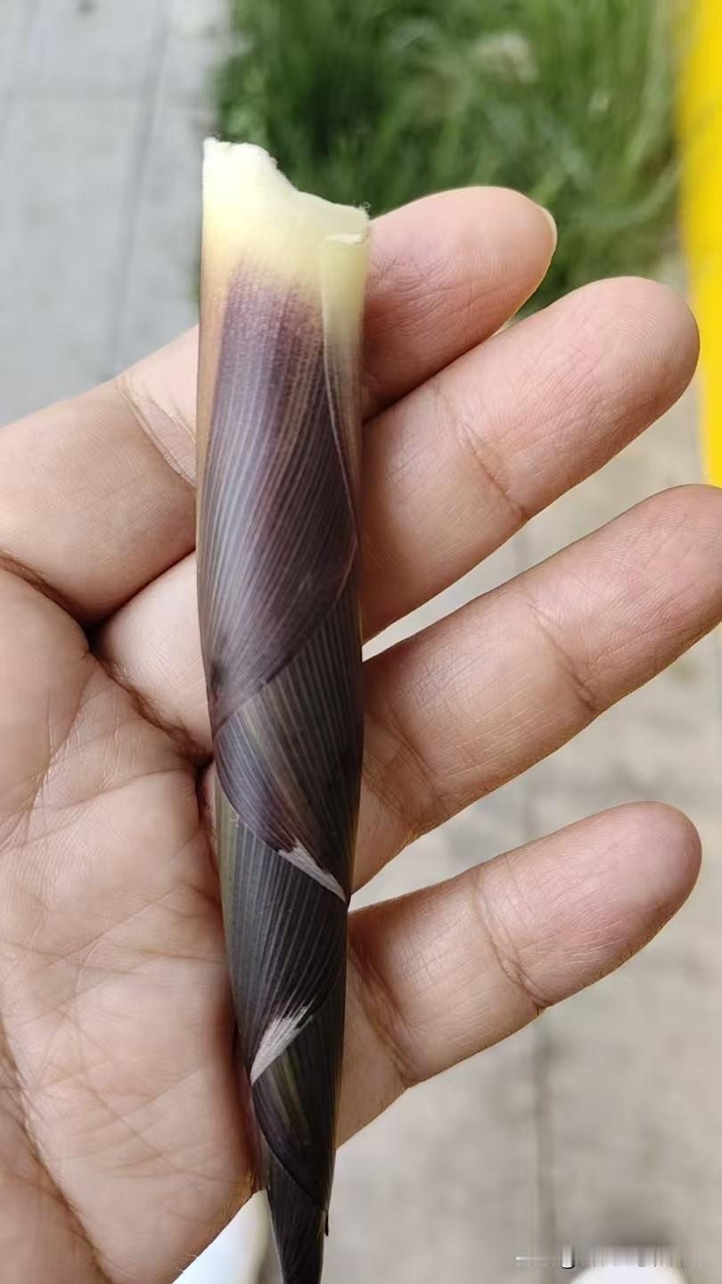 中午吃饭时就困得不行了，头也懵懵的，赶紧吃完饭，帮公公分完药就回家睡觉了。
睡了