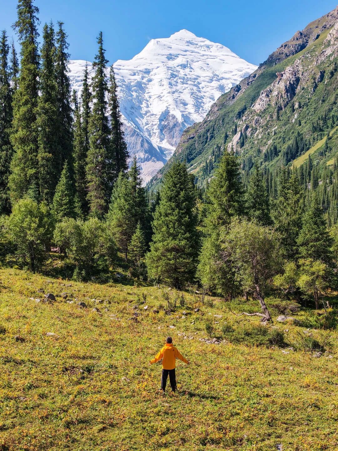 夏塔关闭后，我找到了夏塔分塔