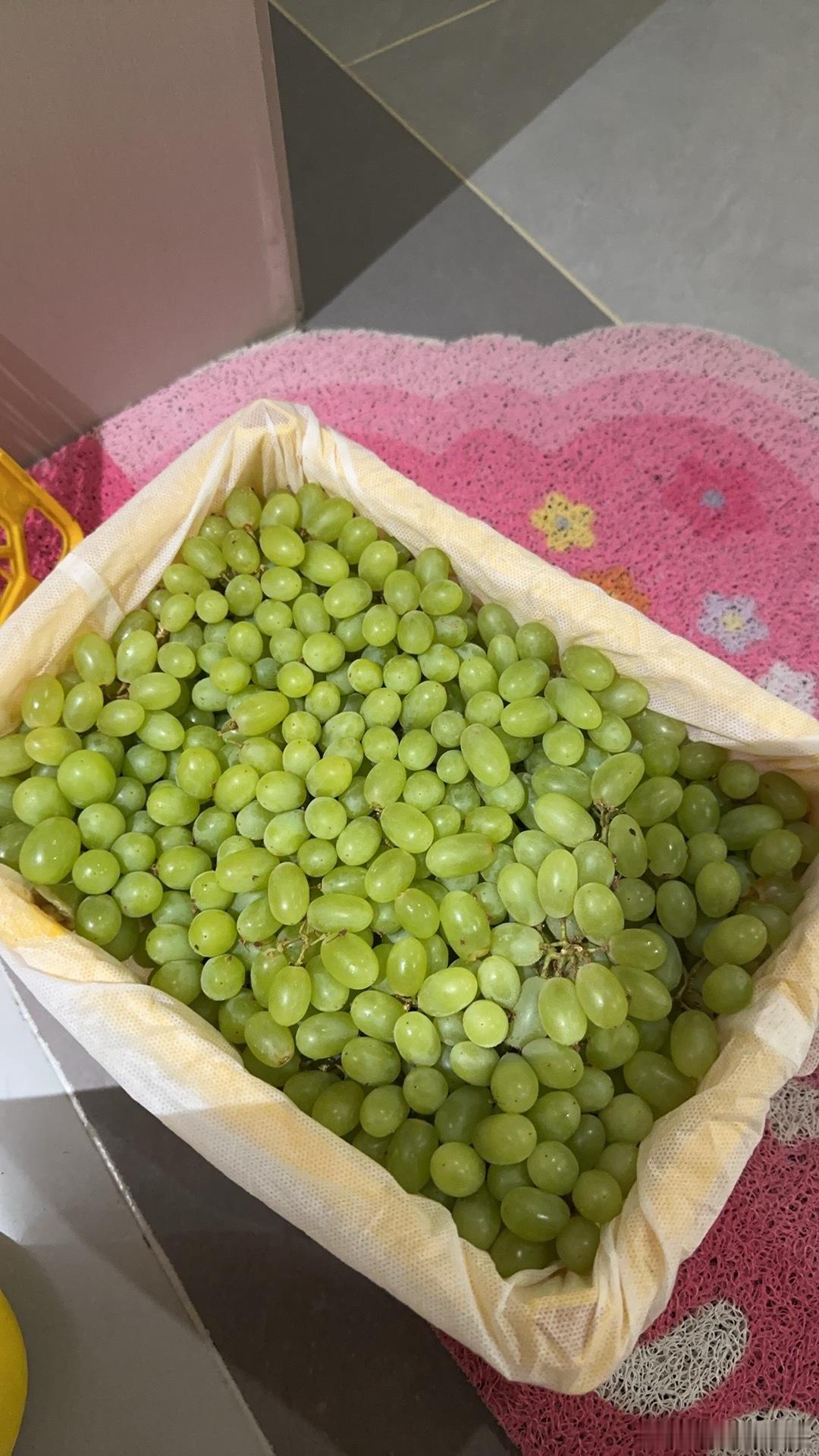 酸 心酸的酸