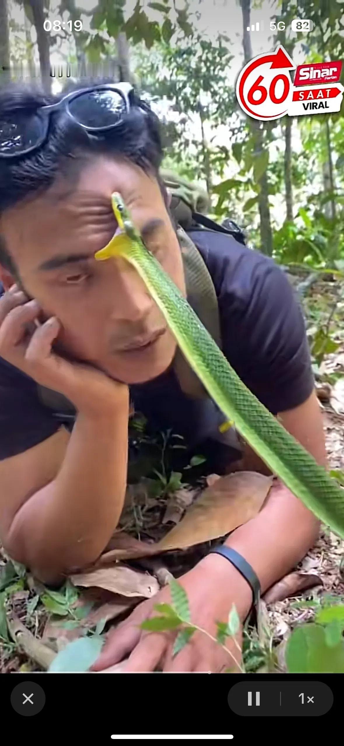 野外探险，与蛇共舞！🐍🌳