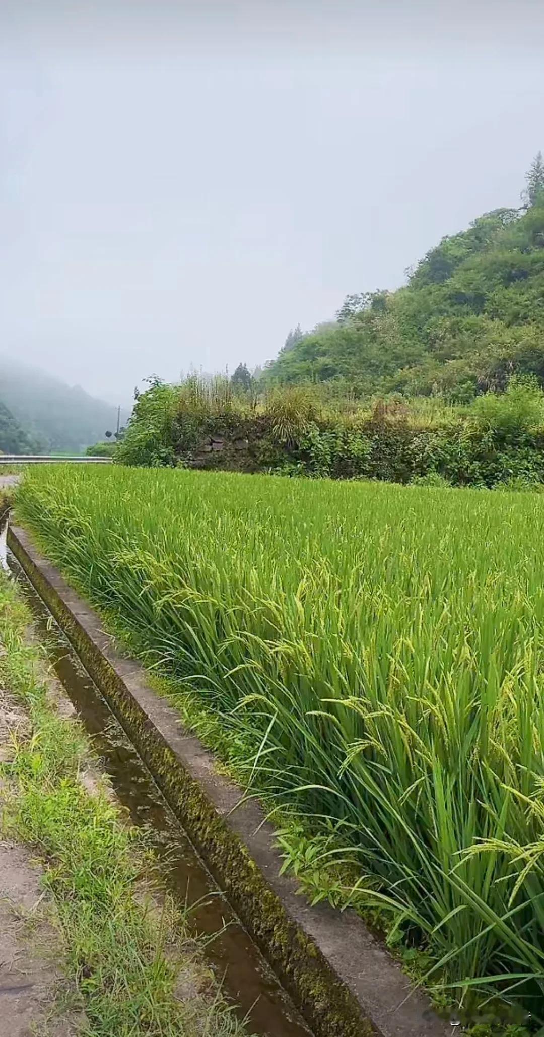 #上联，岁月长河风风雨雨，请对下联#
上联，岁月长河风风雨雨，
下联，人生之路坎