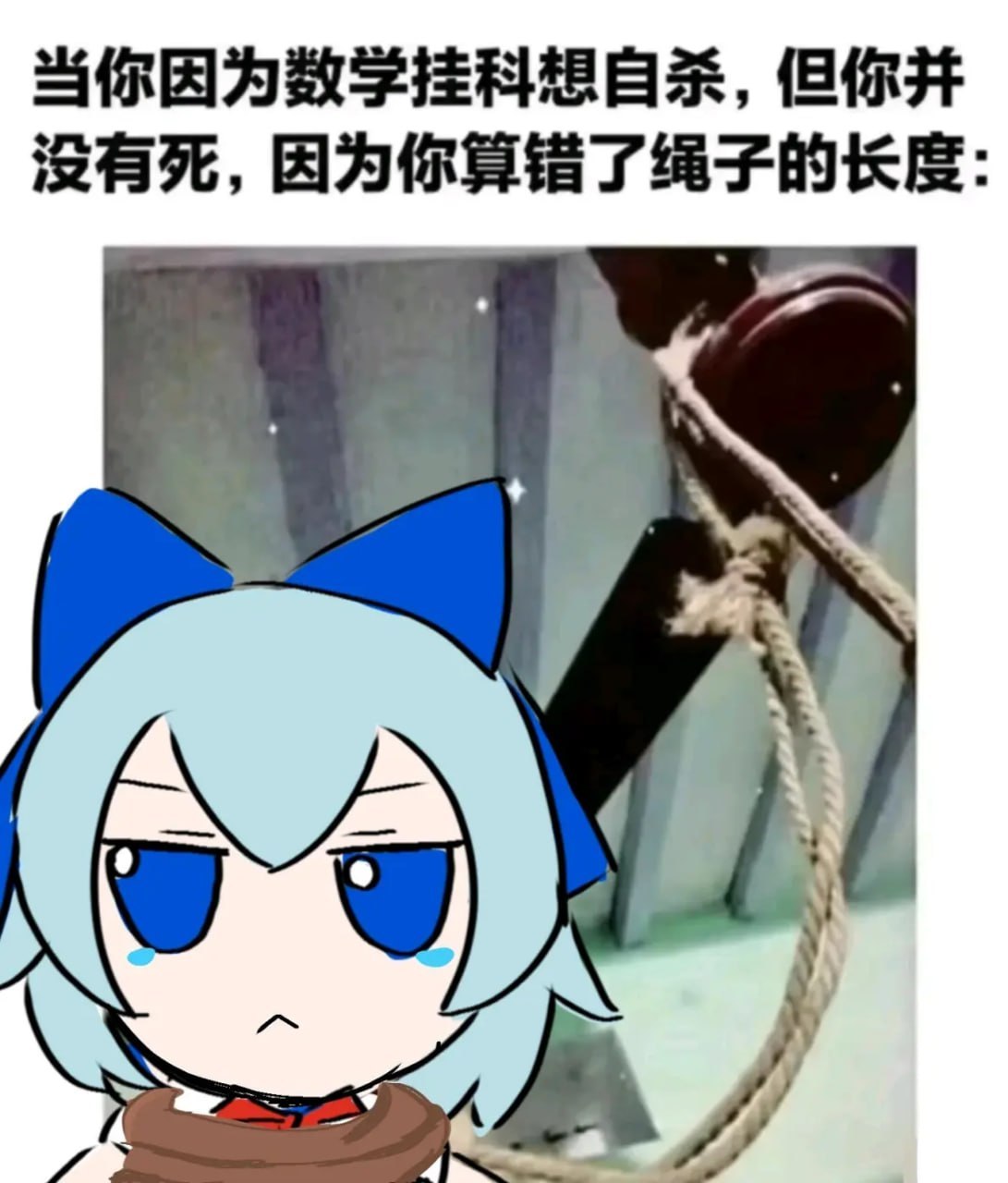 笨蛋 ​​​