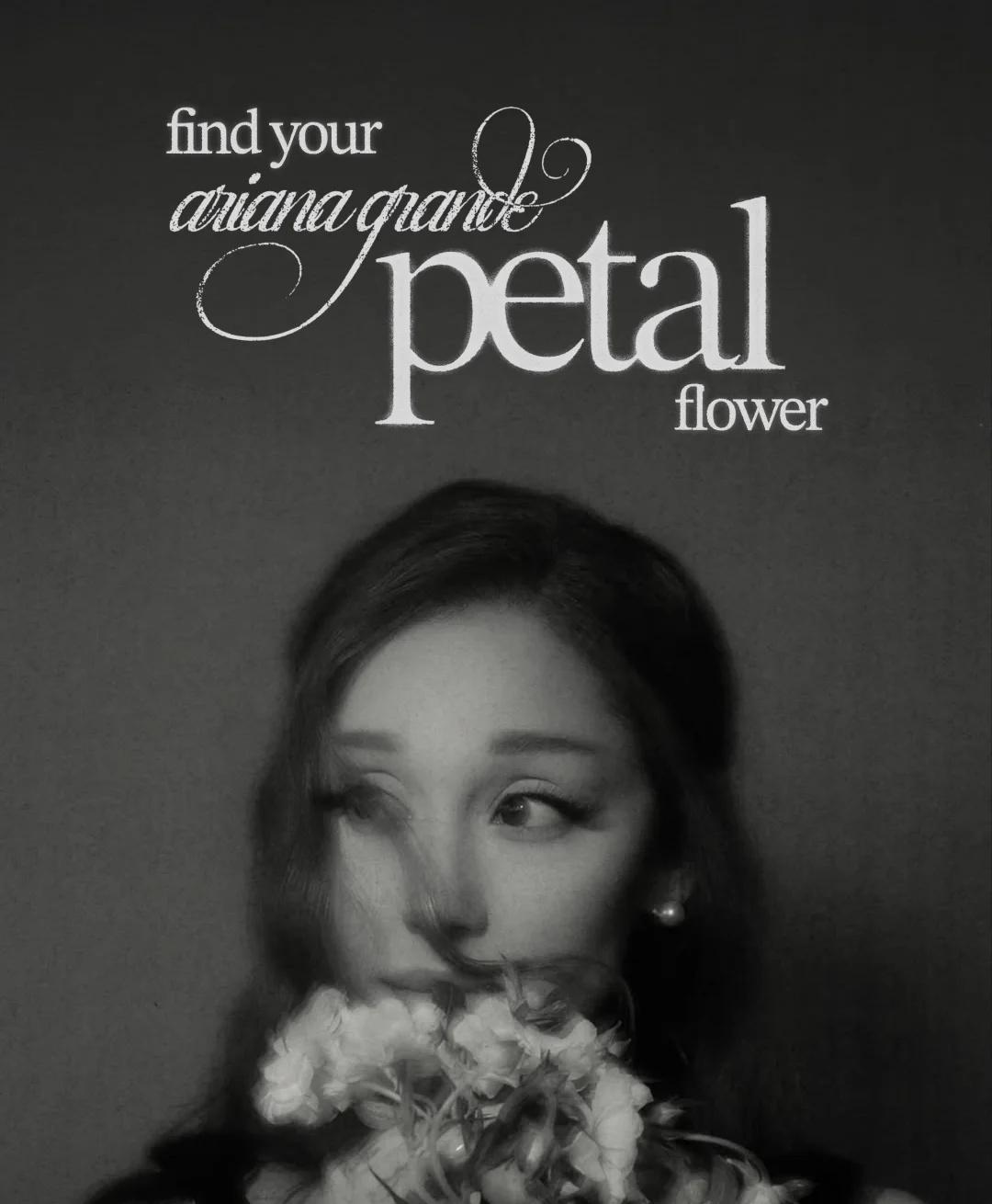 A妹新专曲目对应的花朵. ꕤ 。˚
亚莉安娜 Ariana Grande 官方团