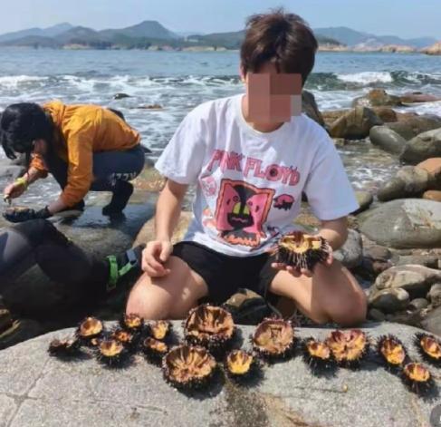现杀现吃30多只私捞野生海胆！五一假期，部分内地游客在香港西贡火石洲浮潜的越界行