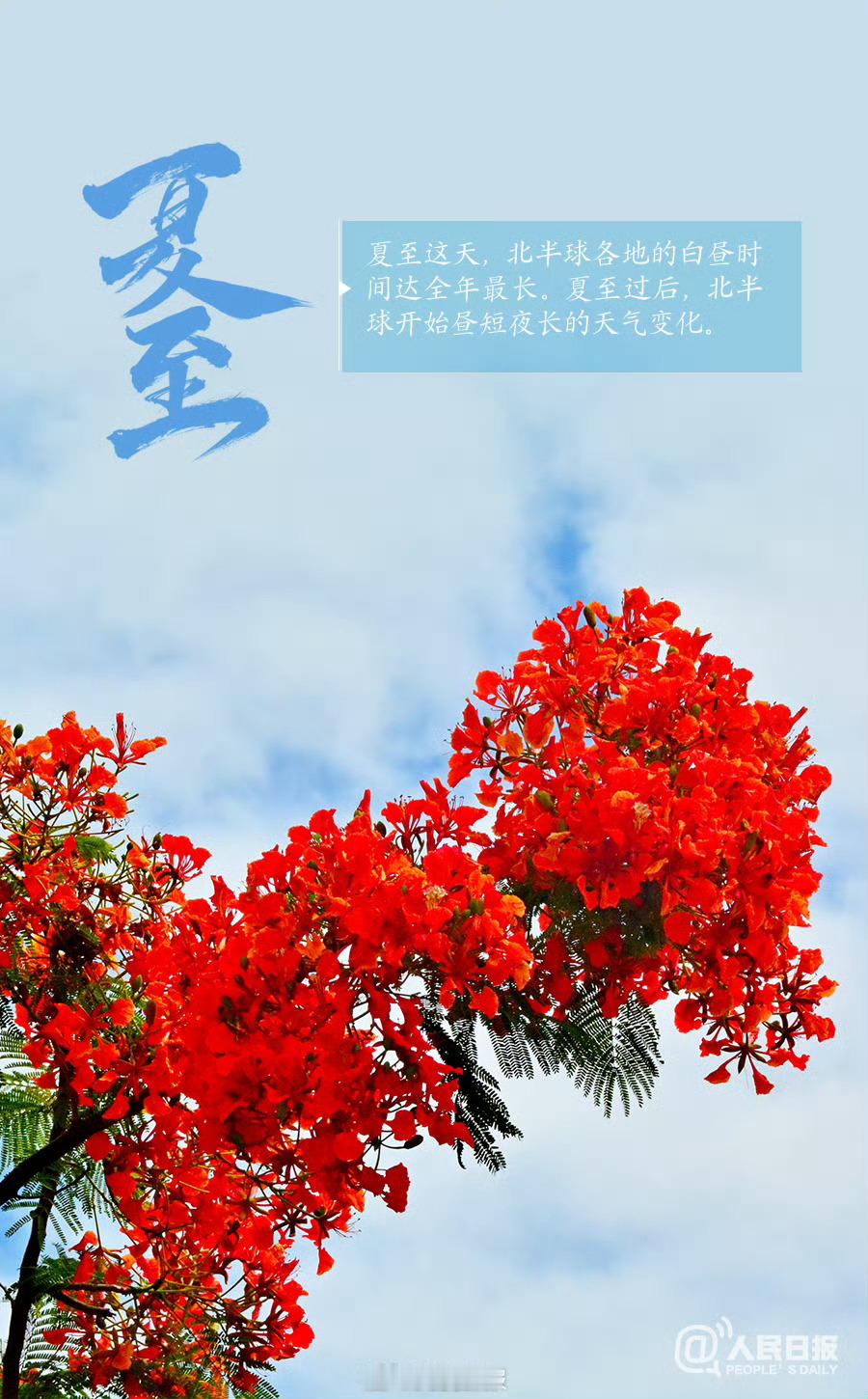 文化中国行迎夏至【今天，夏至】①6月21日16时25分迎来夏至。②夏至这天，北半