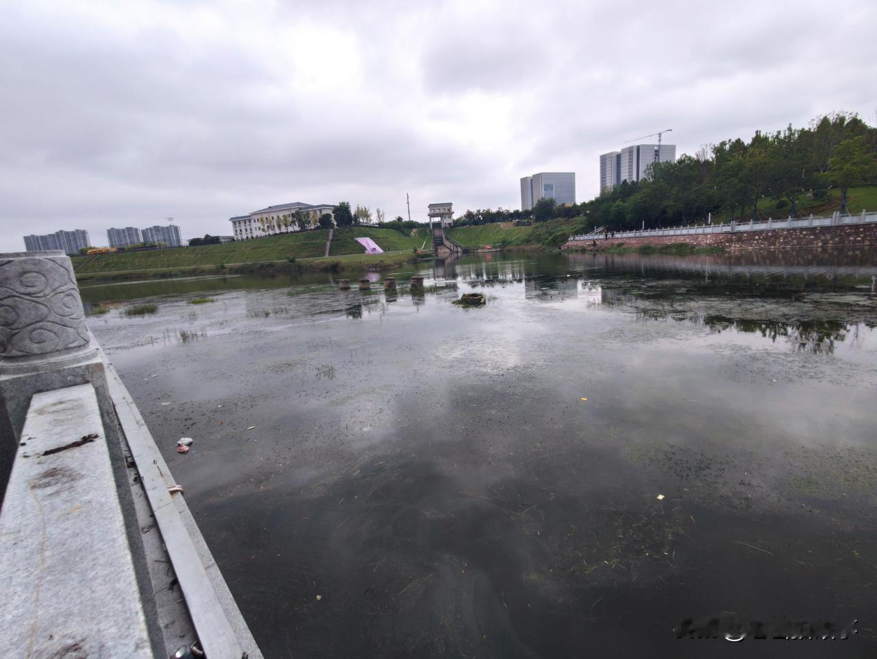 今天再次光临中原路南的贾鲁河，发现在今年五月份时看到的人工小岛不见了！河道里已经