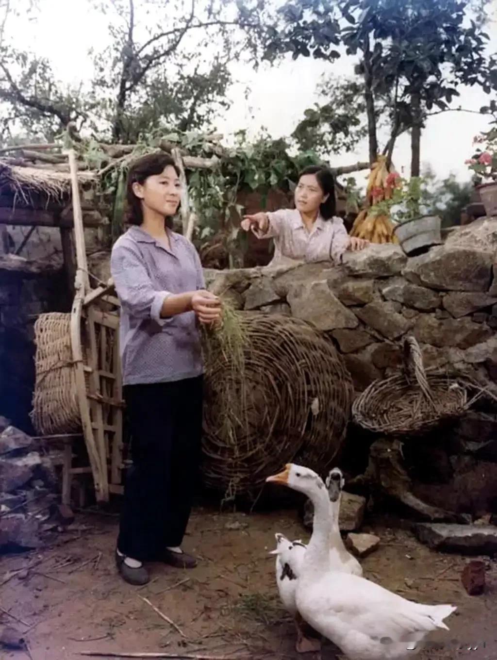 俗话说：远亲不如近邻，邻居之间互相帮助才能和谐。朋友，这是一部电影中的镜头。您能