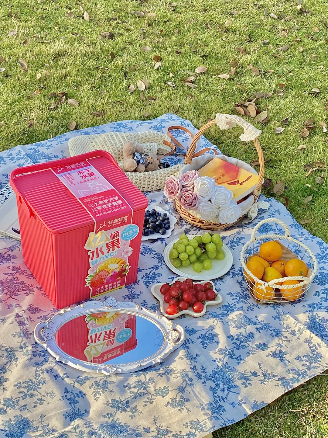 🧺野餐吃什么｜谁懂冻干水果的含金量！！