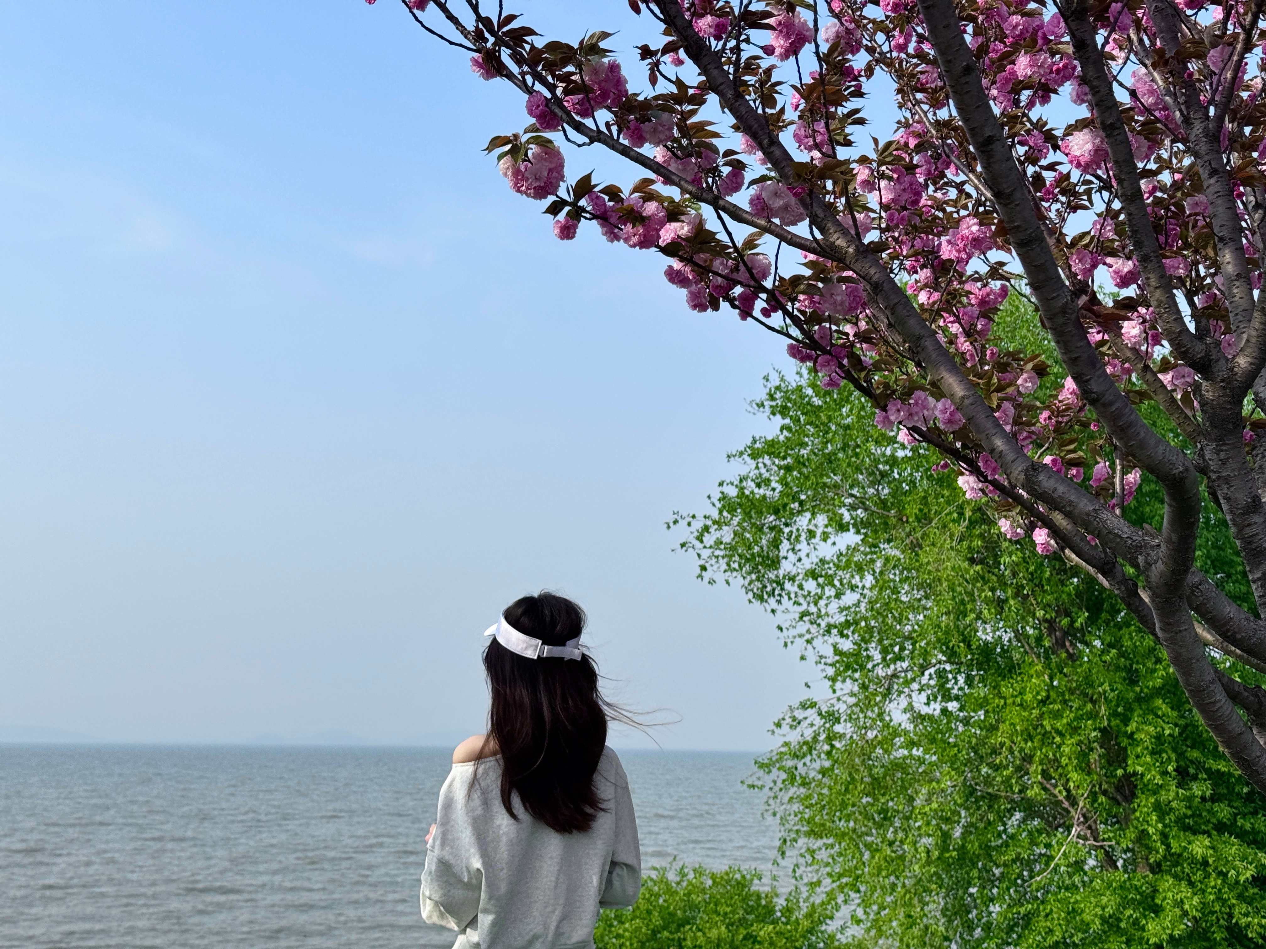 昨天去的湖州[送花花] ​​​
