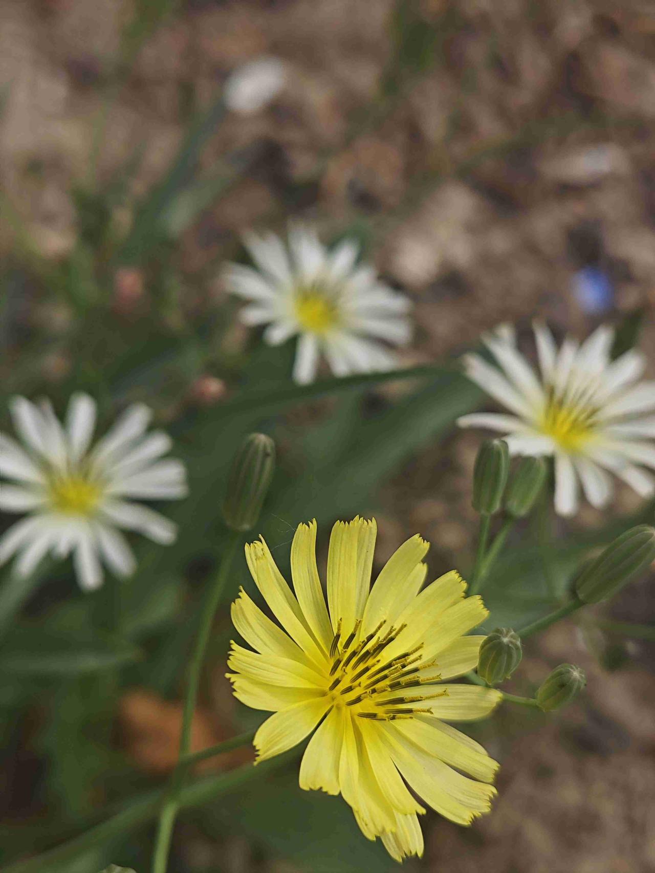 我的今日状态：💰期待暴富
我这里的天气：☀️晴天
忙碌的一天即将开始，被打扰的