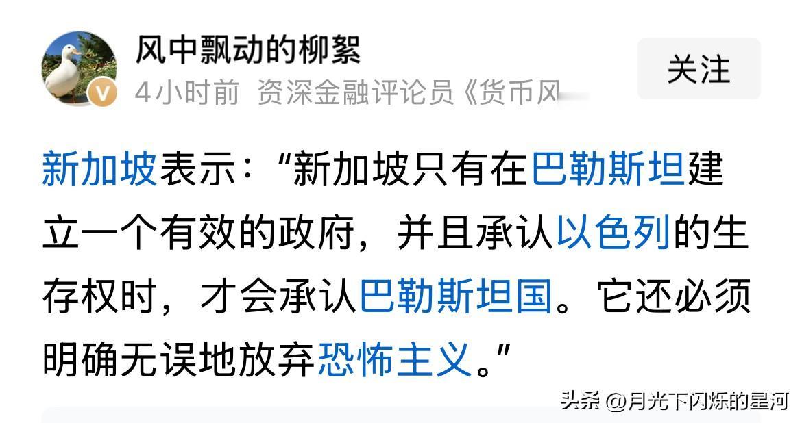 新加坡的意识形态值得佩服，这么小的国家敢于说出响亮的真话。确实以色列如果做不到把