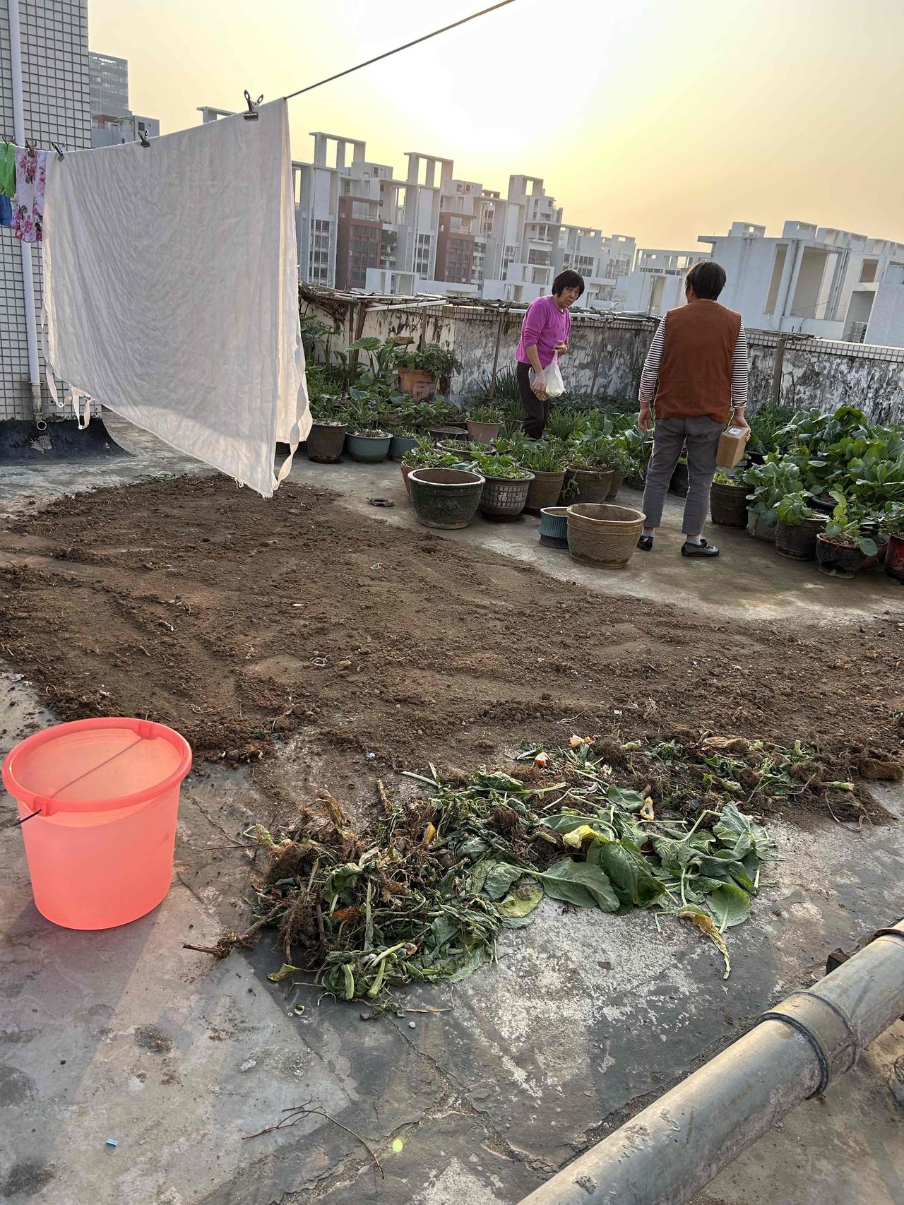 这是都市小区一栋高楼的楼顶平台。原本，这里是业主们晾晒被服的地方，既实用又便捷，