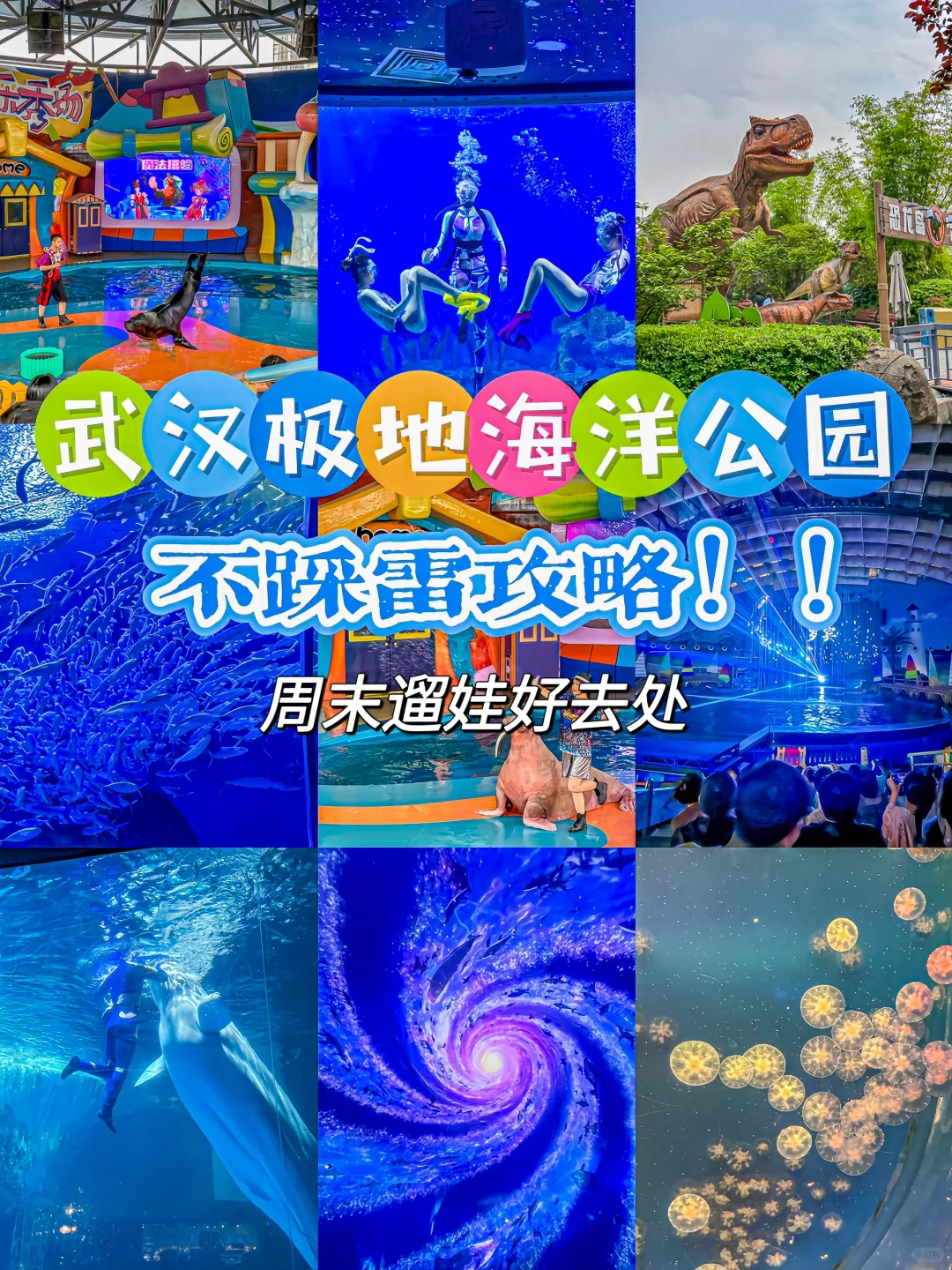 武汉极地海洋公园！看这篇就够了！！