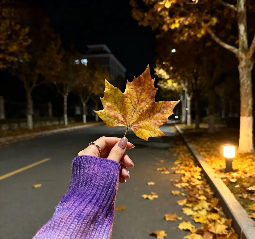 🚀 𝙉𝙚𝙫𝙚𝙧 𝙎𝙚𝙩𝙩𝙡𝙚不必做谁的白月光，也不做谁的