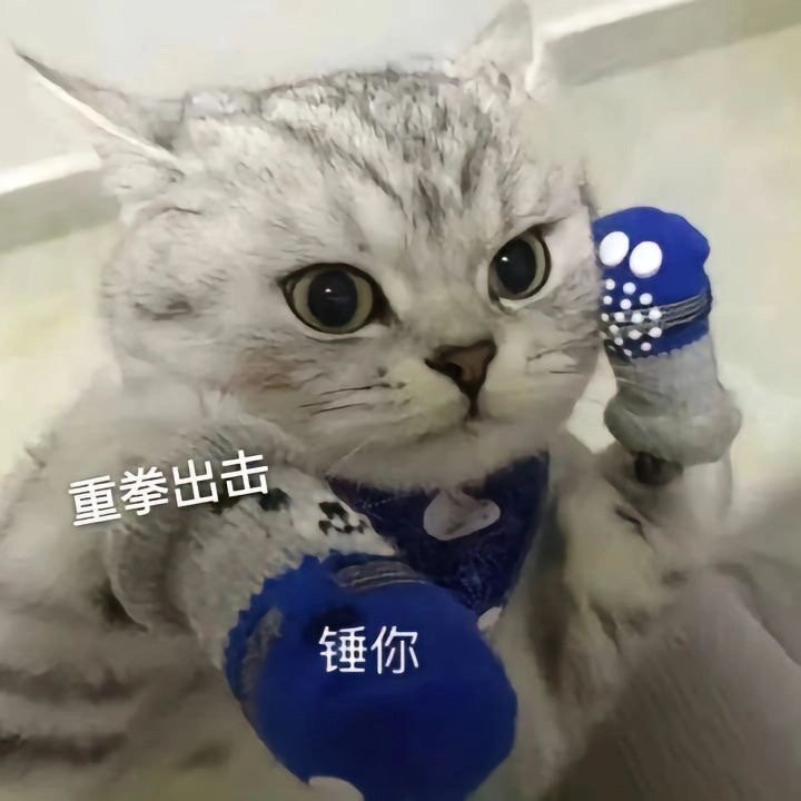表情包又增加啦！ #表情包# ​​​