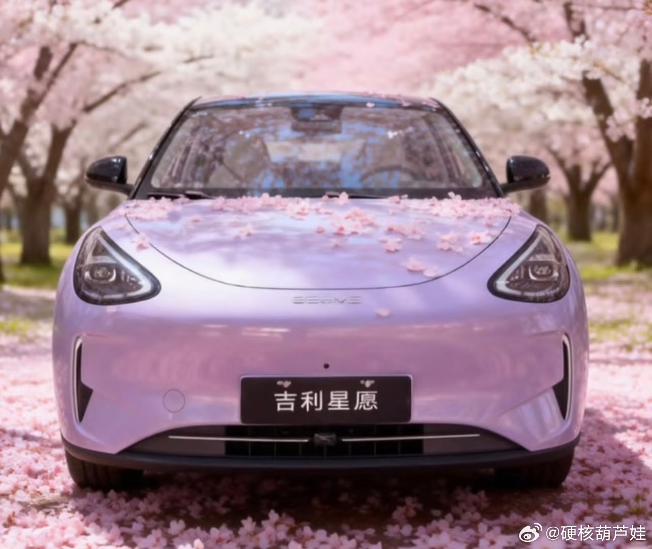 吉利星愿60万达成暨宠粉权益发布536天，60万份信任：吉利星愿与一场樱花色的双