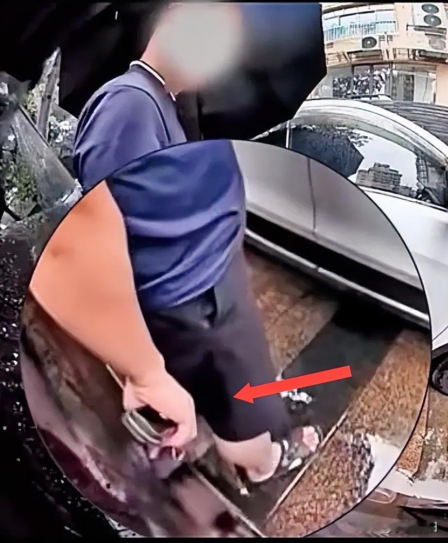 拍到了，拍到了，而且看的清清楚楚
自以为谁都不知道，其实早已在监控之中
某品牌汽