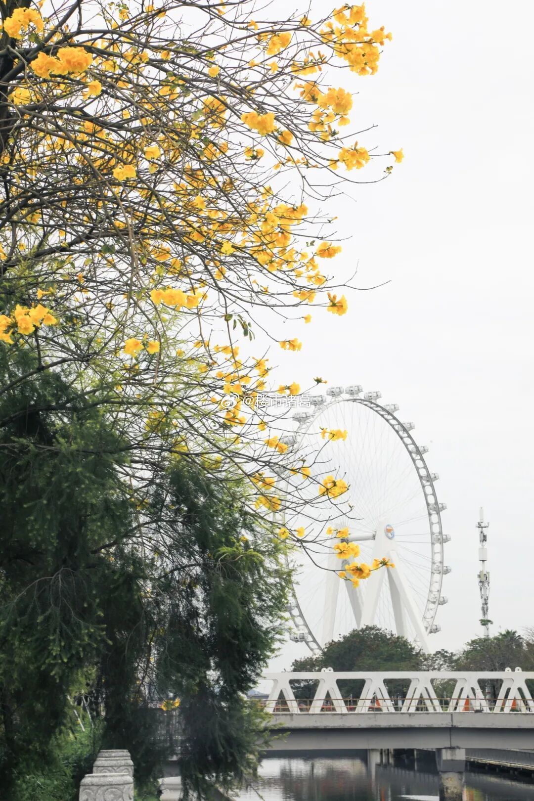 现在的地缘问题、大国博弈、短期困难，都是客观存在的。但如果你因此什么都不做，未来