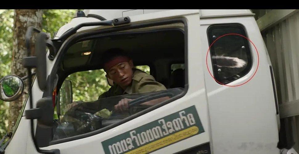 边水往事的车玻璃上好大个麦 ​​​