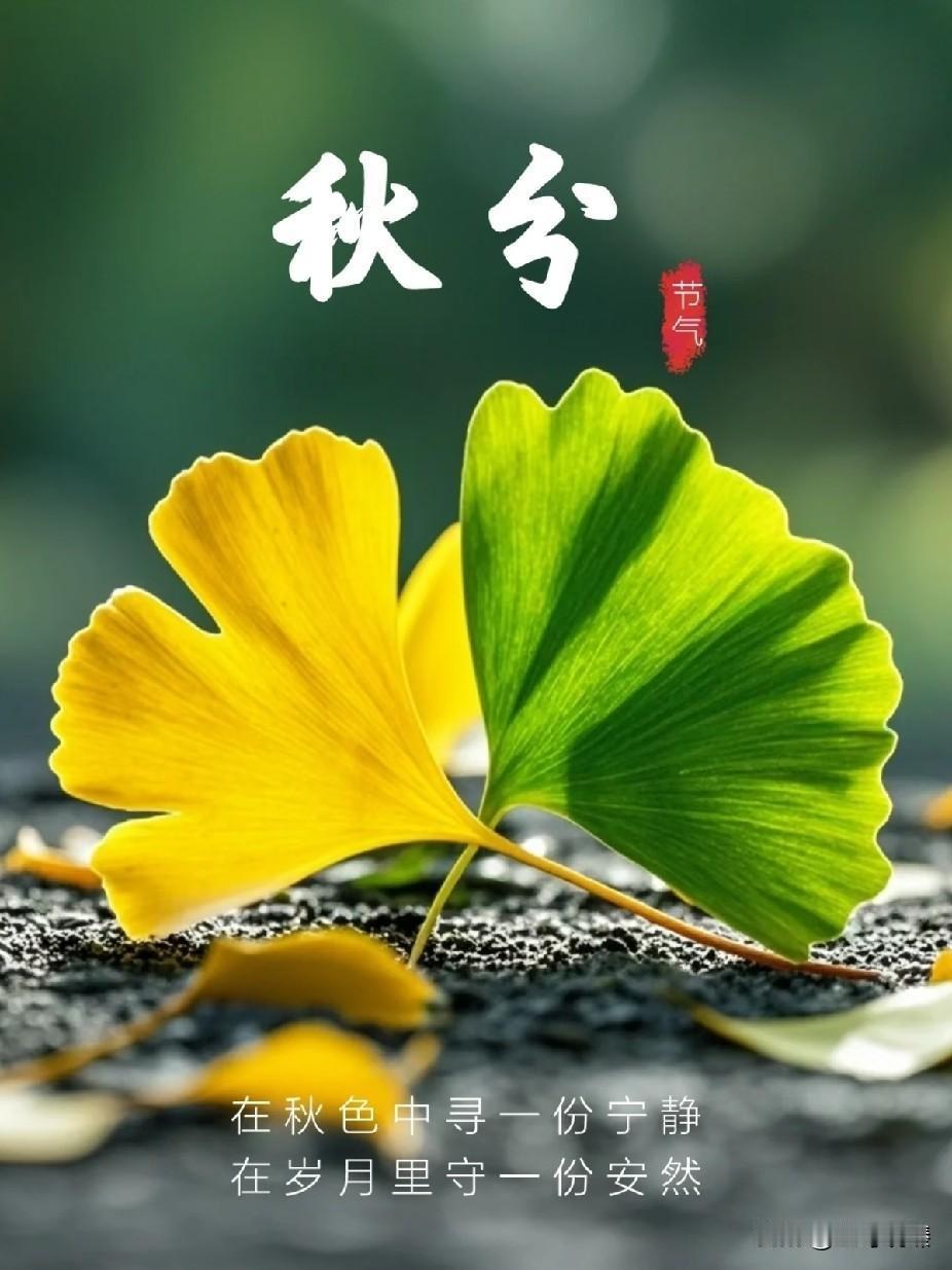 明天秋分，今天这个日子比你想的要特殊。

北京时间9月23日8时05分，秋分将至
