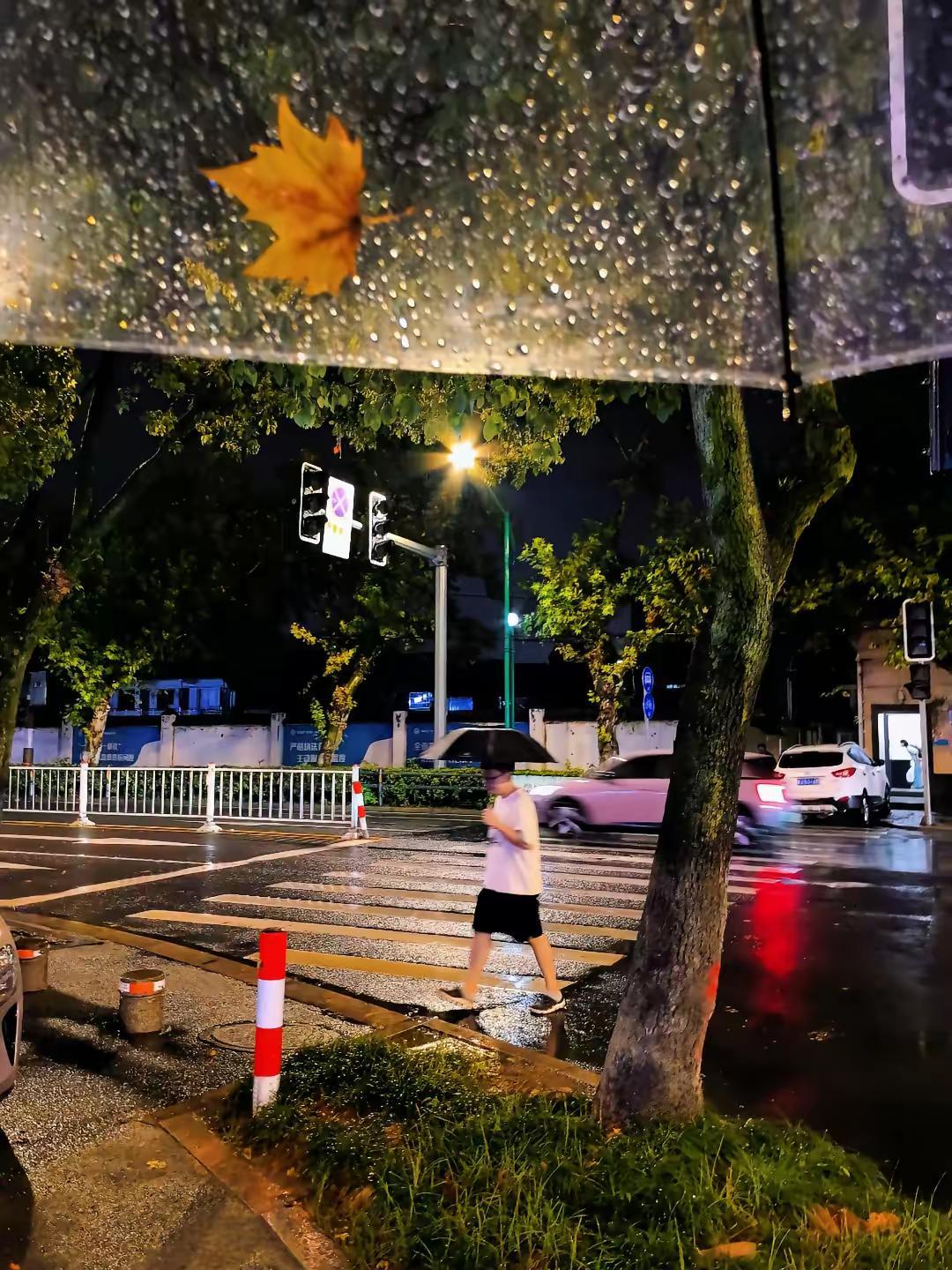 “可惜事与愿违，我们并没有同行         那些承诺也早就跟白纸一样毫无意义