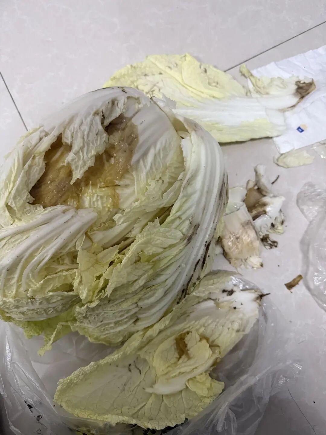 你认为甲醛白菜事件应如何处理对始作俑者重判重罚。食品安全事件屡禁不止，根本原因在