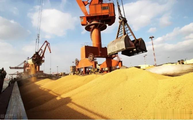 新总统效仿美国？我国罕见撤走全部资金援助，现在后悔也来不及了！

美国仍然是世界