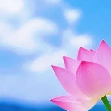 森林驿站  💫阳光信用  💫森林驿站 余生很贵，努力活成自己想要的样子，愿你