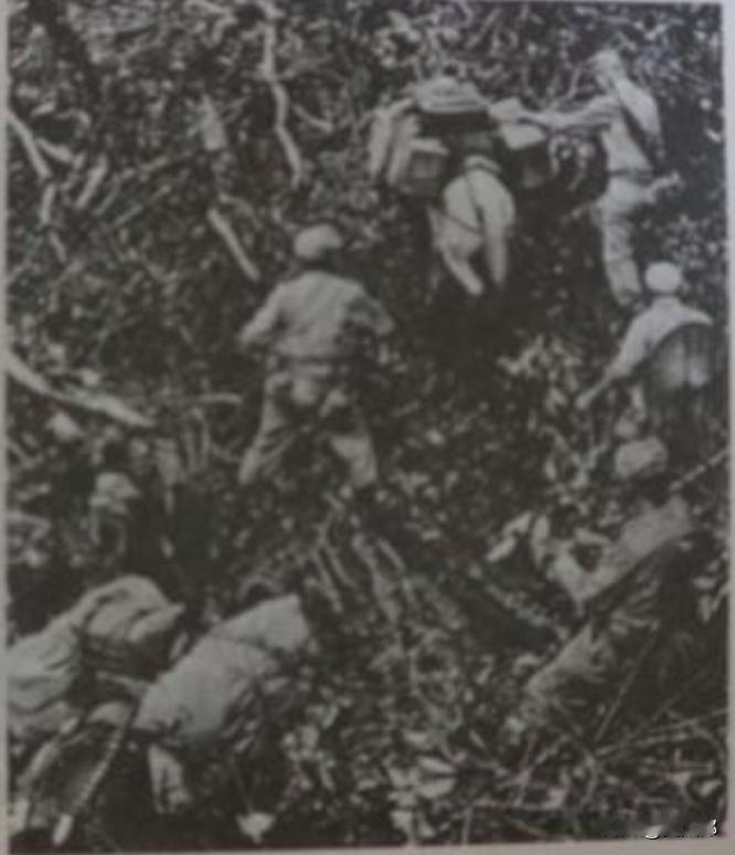 1944年，滇西大地硝烟弥漫。太平洋战场盟军全线反攻之际，溃败的日军仍盘踞腾冲，