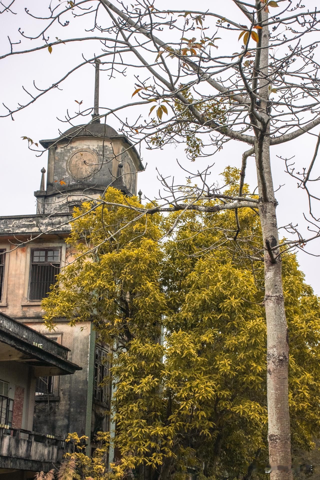 广东的台山开平多的是这类废弃建筑物，它们过去可能曾是教会、学校或其他公共场所，而