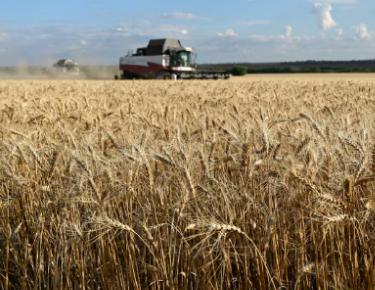 🔻路透社：俄罗斯公司已恢复通过里海向第三大谷物买家伊朗出口谷物，此前因美国-以