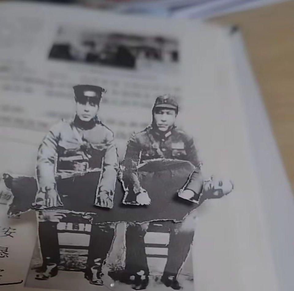 生动演绎，张杨两将军活捉蒋瑞元