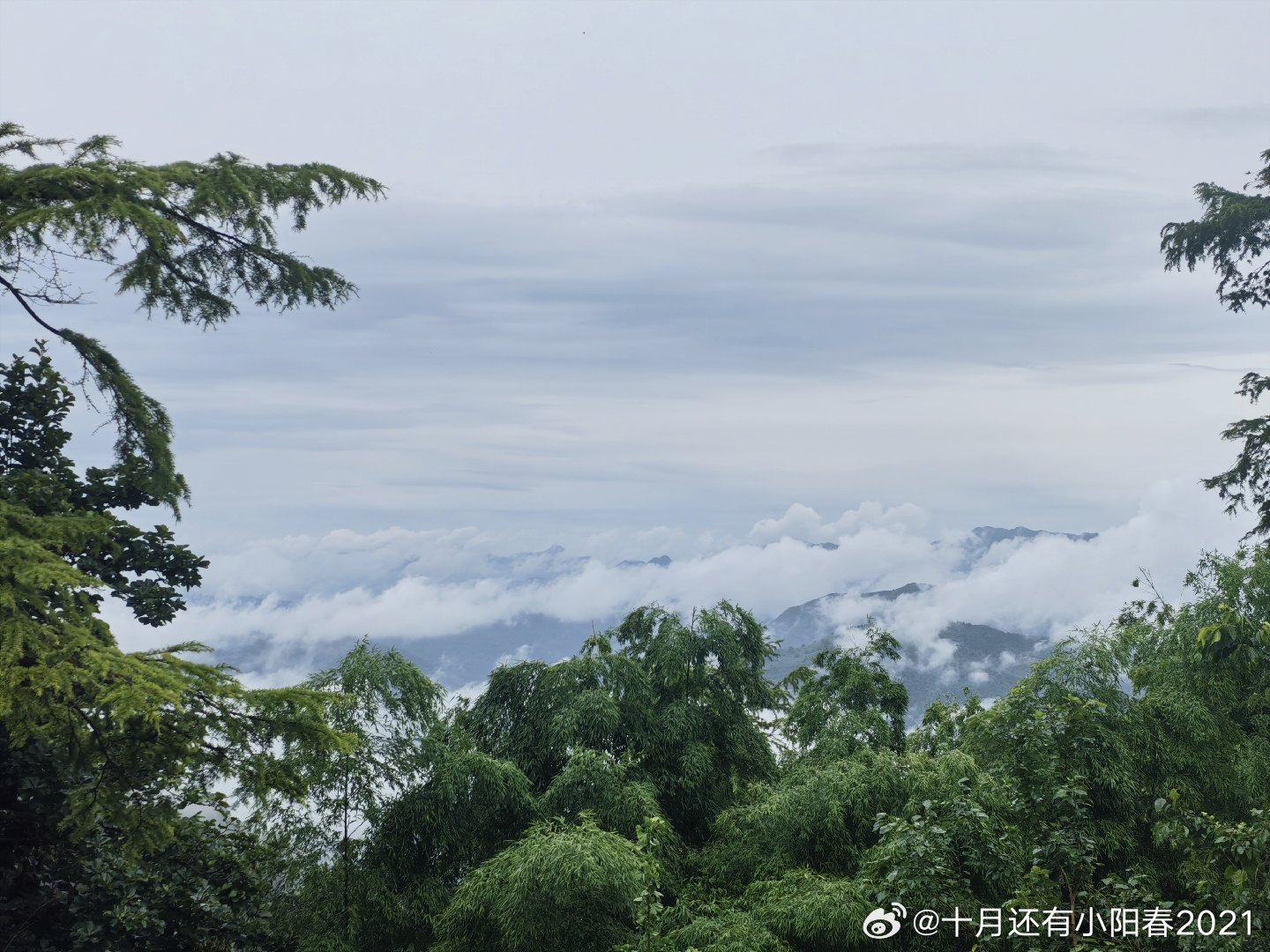 终于来到九华山 池州·九华山