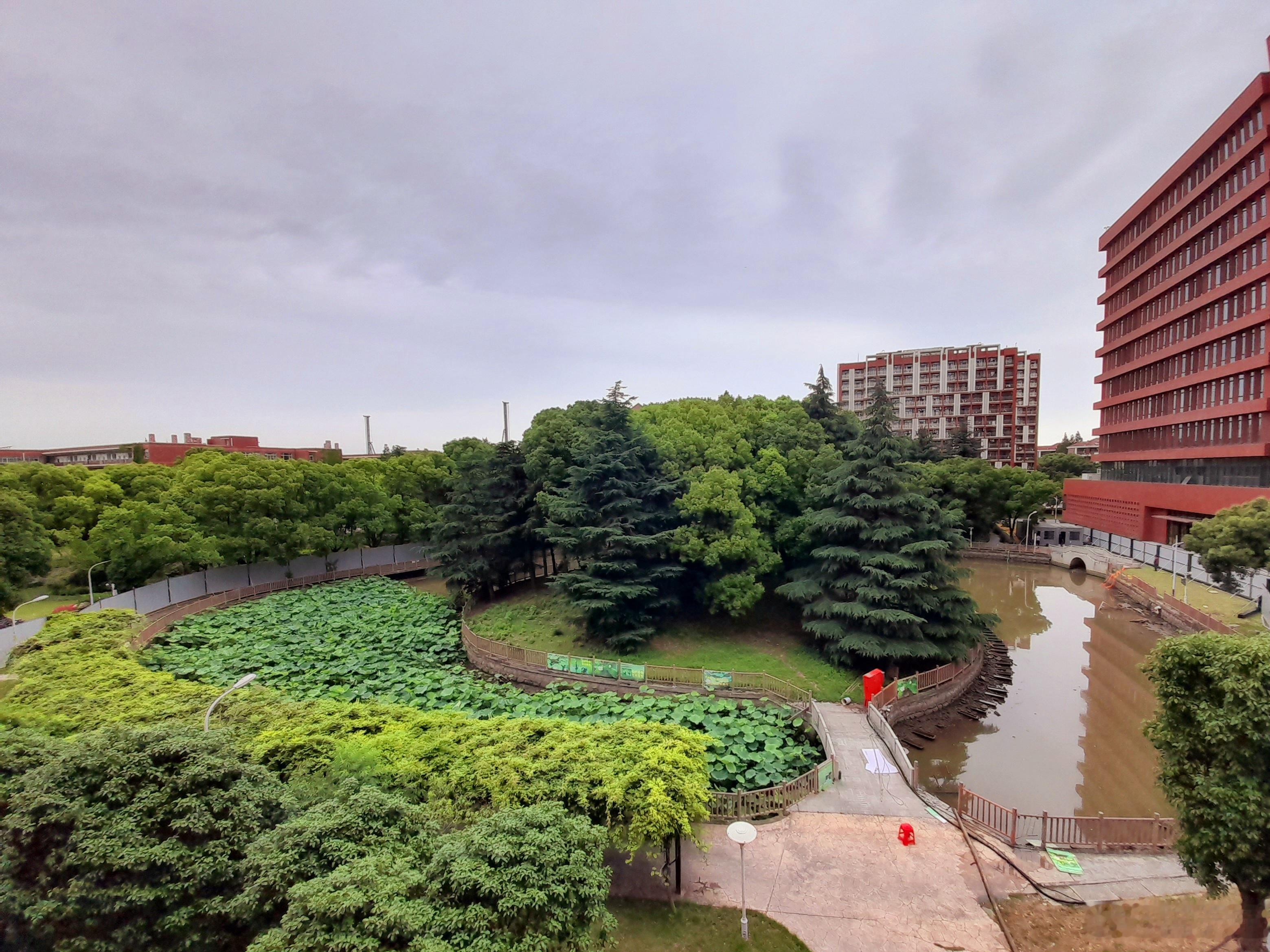 敝校浦东金海校区的荷花池果真围起来了，工寮（施工人员的宿舍）也建好了，改造在即。