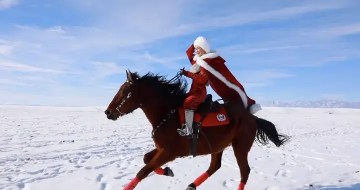 贺娇龙因意外事故逝世