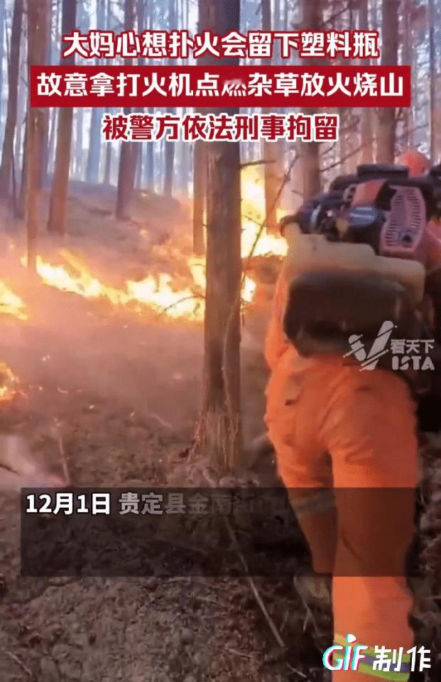 贵州山火一定要严查，去年贵州山火就是老人家放过，今年又是，以前这些老人家怎么不放