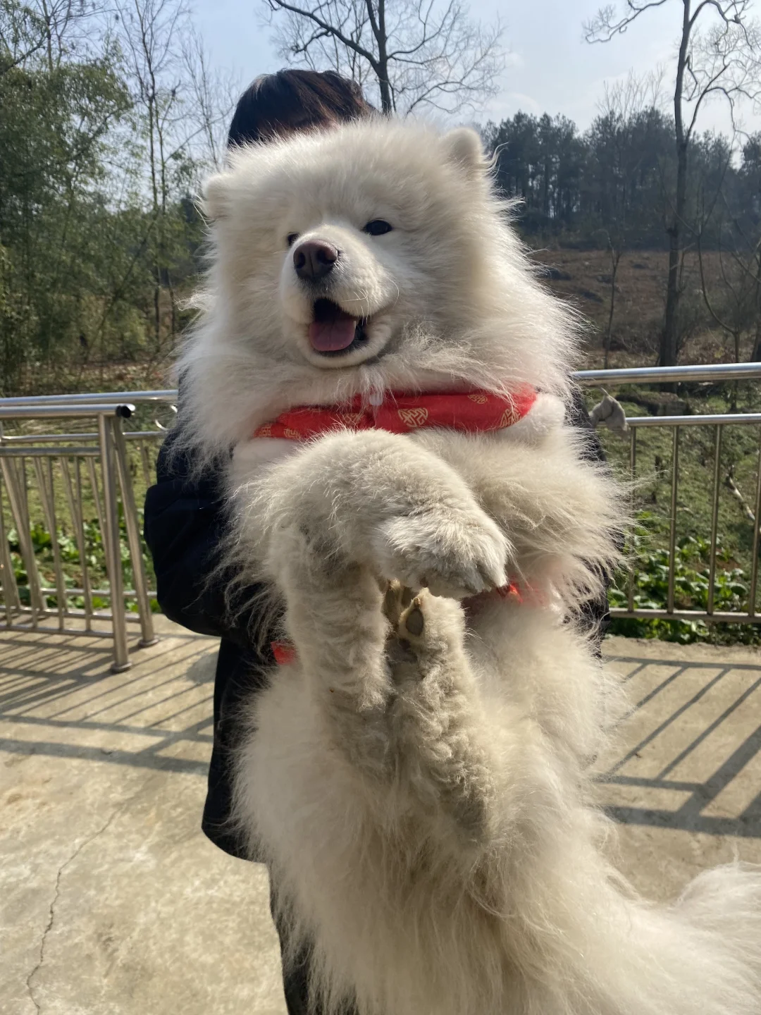 大年初一   新年快乐