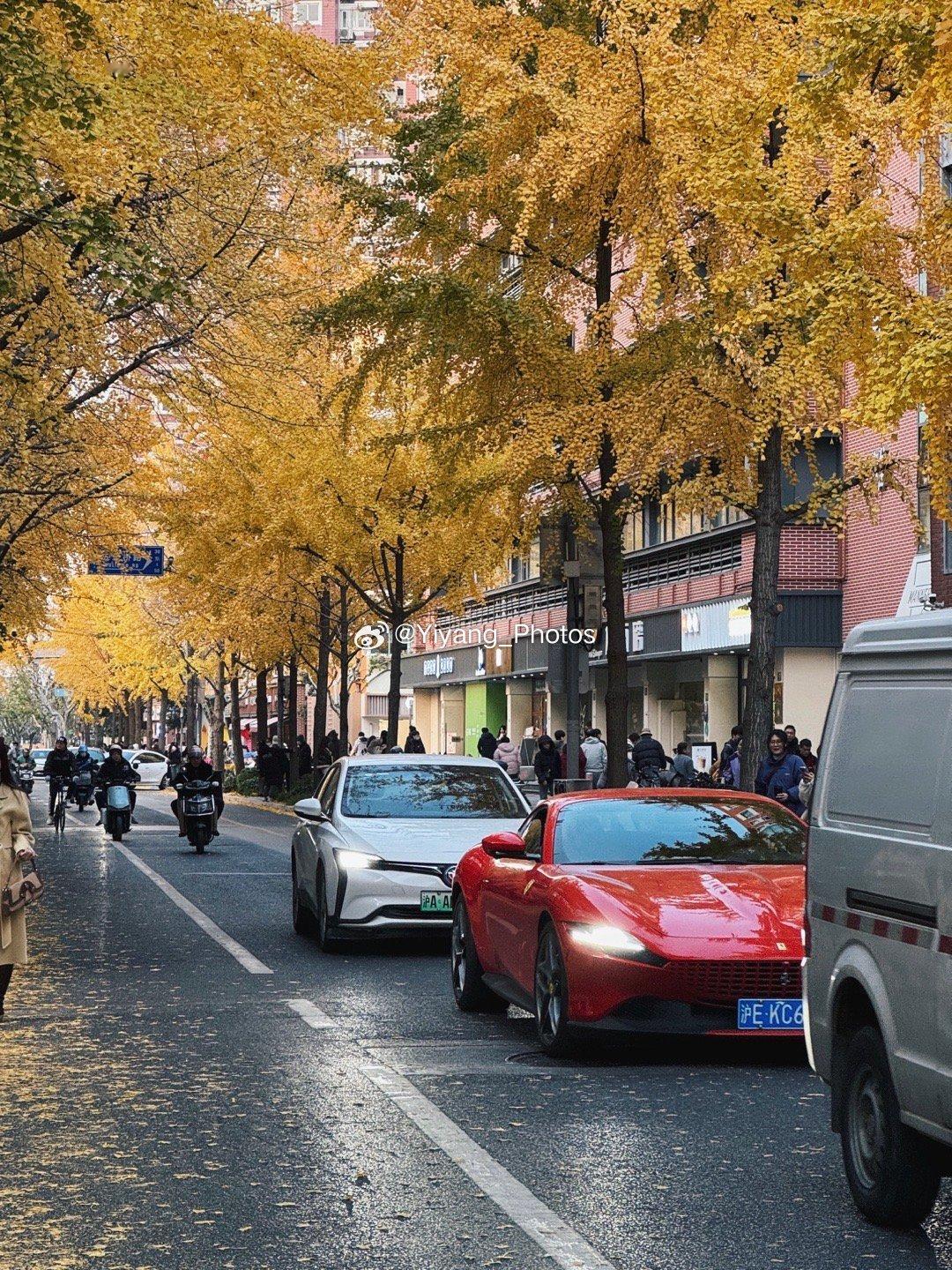 又到了最近遇到的一些车系列时间  